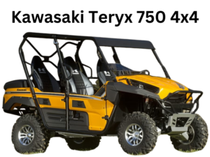 Kawasaki Teryx 750 4x4 in Action